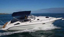 Cuddy Cabin Sport 800